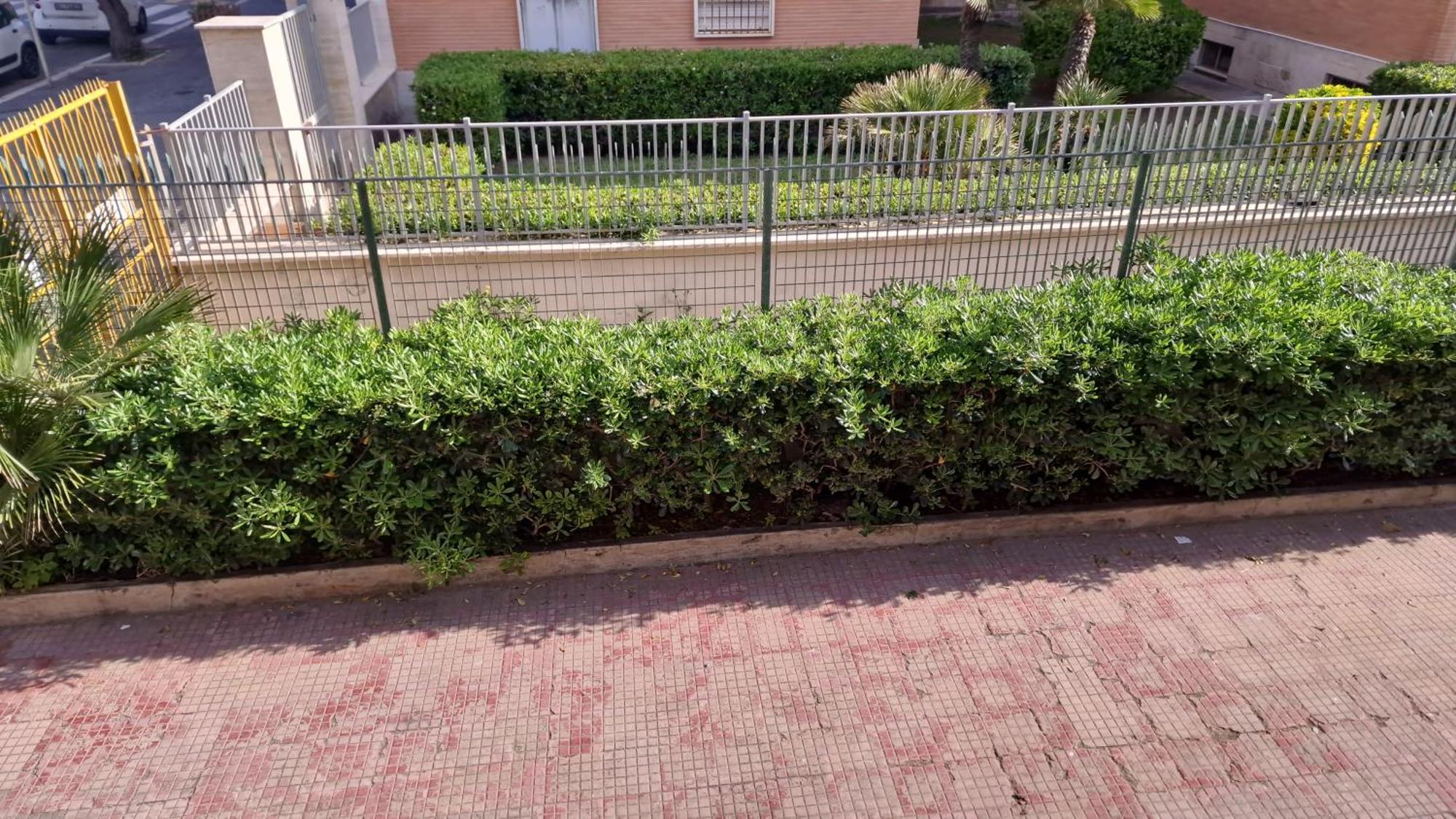 Apartamento La Marina Di Ostia Exterior foto